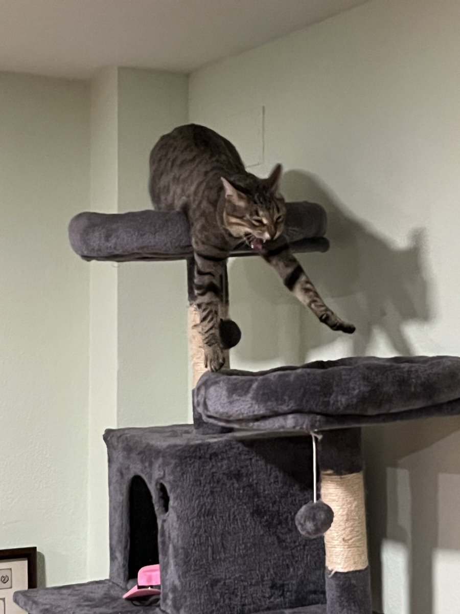 𒉭 Kainé ~ Grandma 𒉭 (@veilhed) on Twitter photo 