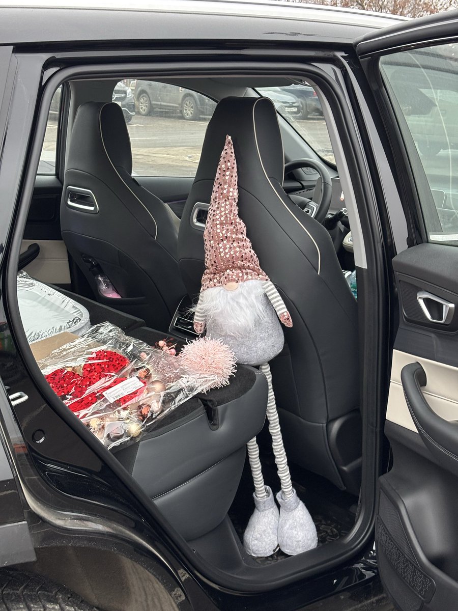 полезай в дилижанс, дружище, ты едешь дарить новогоднее настроение моим последним трём нервным клеткам