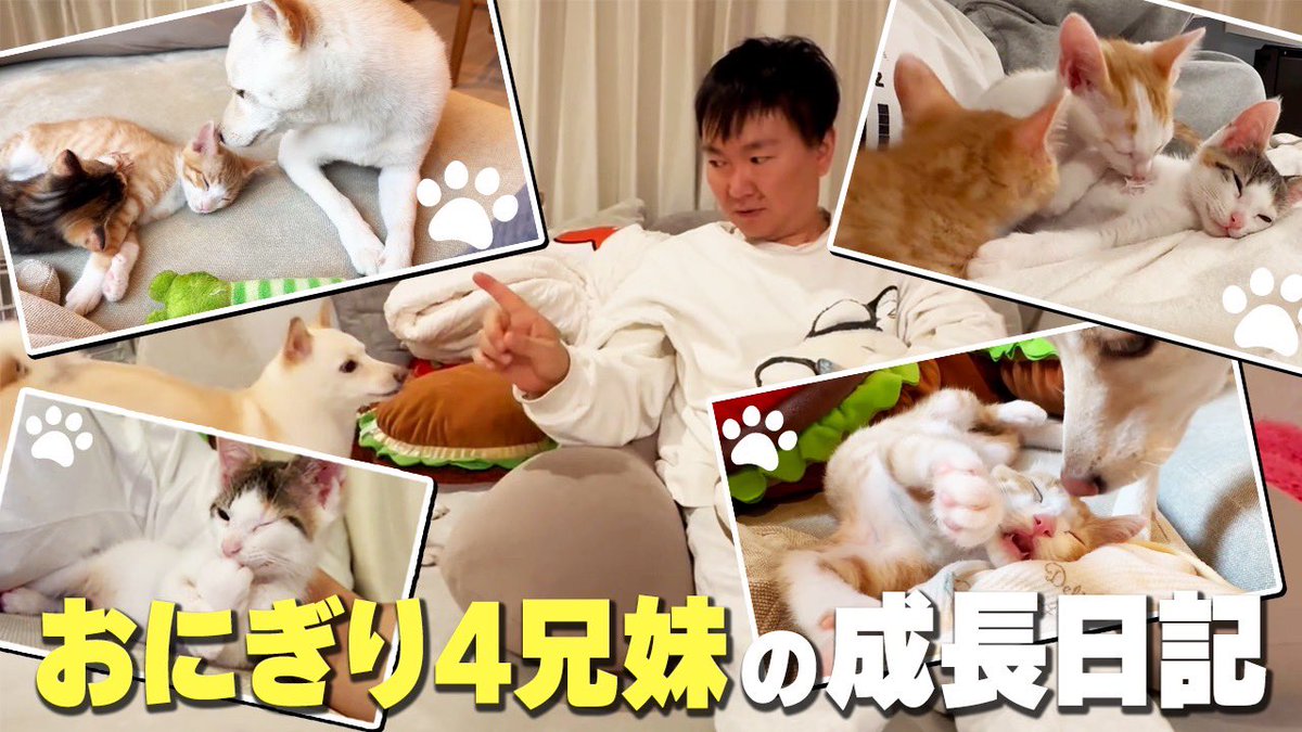 山内健司 (@yamauchi0117) / Posts / X