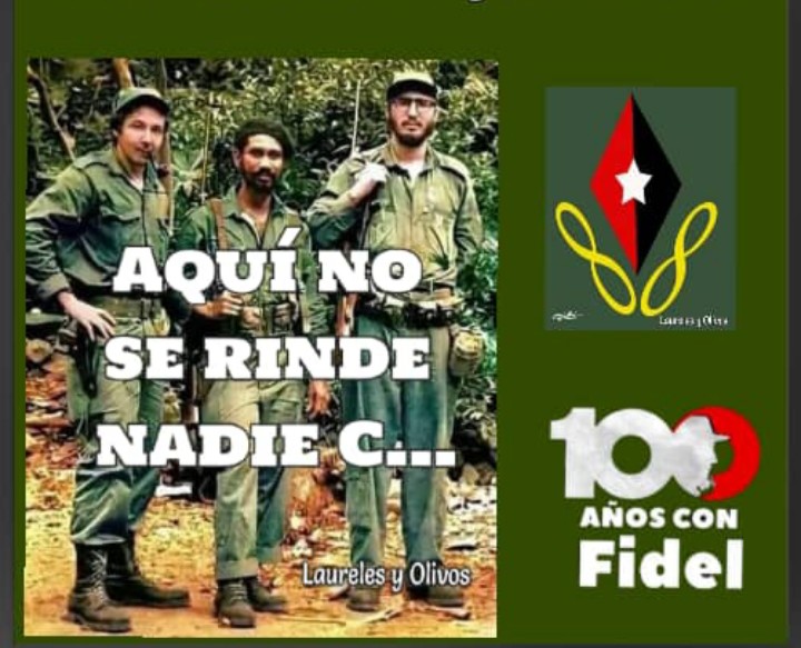 Odalys Perdomo Perez tweet media