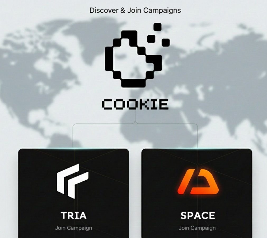In @cokiedotfun many ACM campaign running.

In Neobank concept Tria is our priority list as always. Not just a card the whole ecosystem of <a href="/useTria/">Tria</a> are leading in payment ecosystem.

Other side in NFT trading platform <a href="/spaace_io/">Spaace 🟠</a> . In Spaace user can trade, create nft and earn XP.