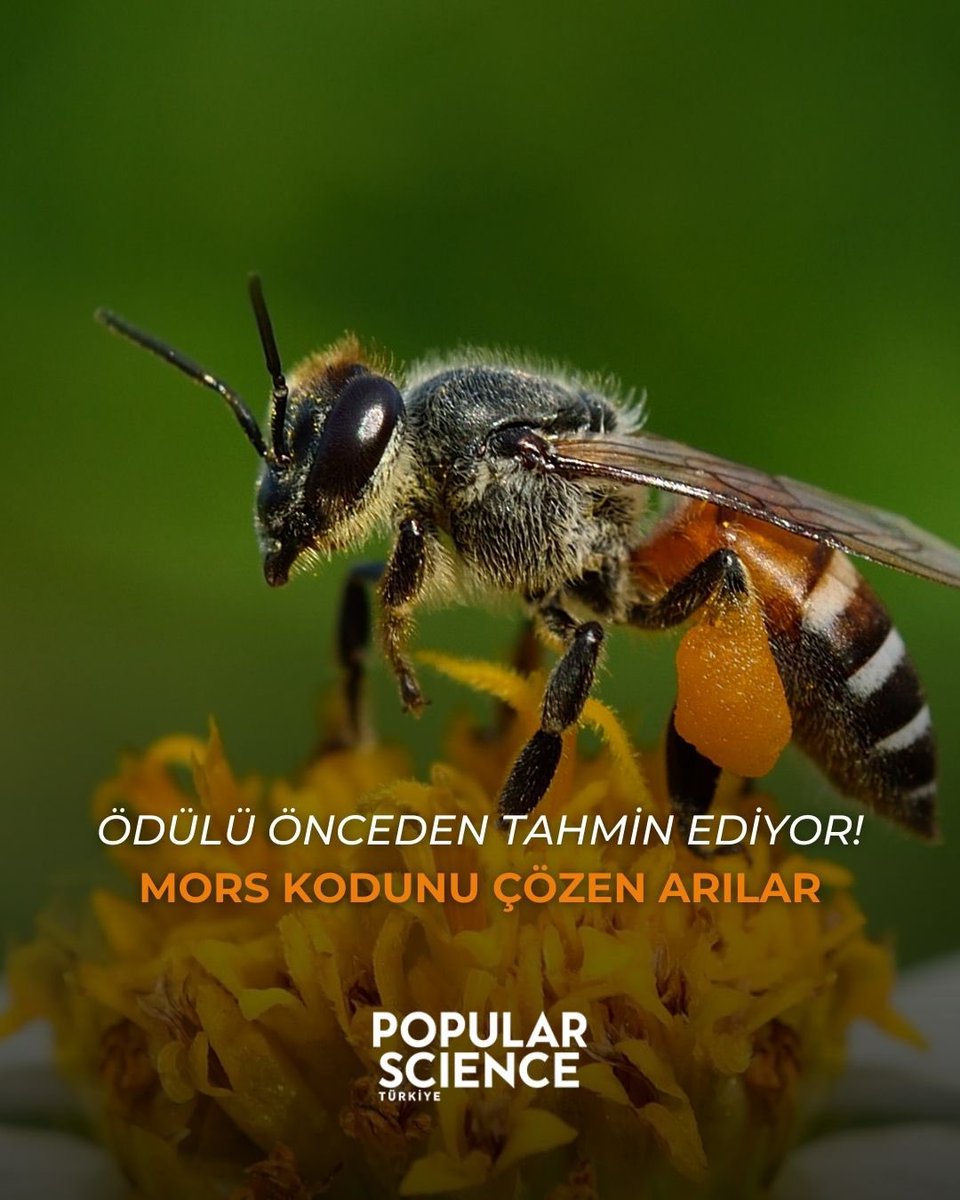 Popular Science TR tweet media