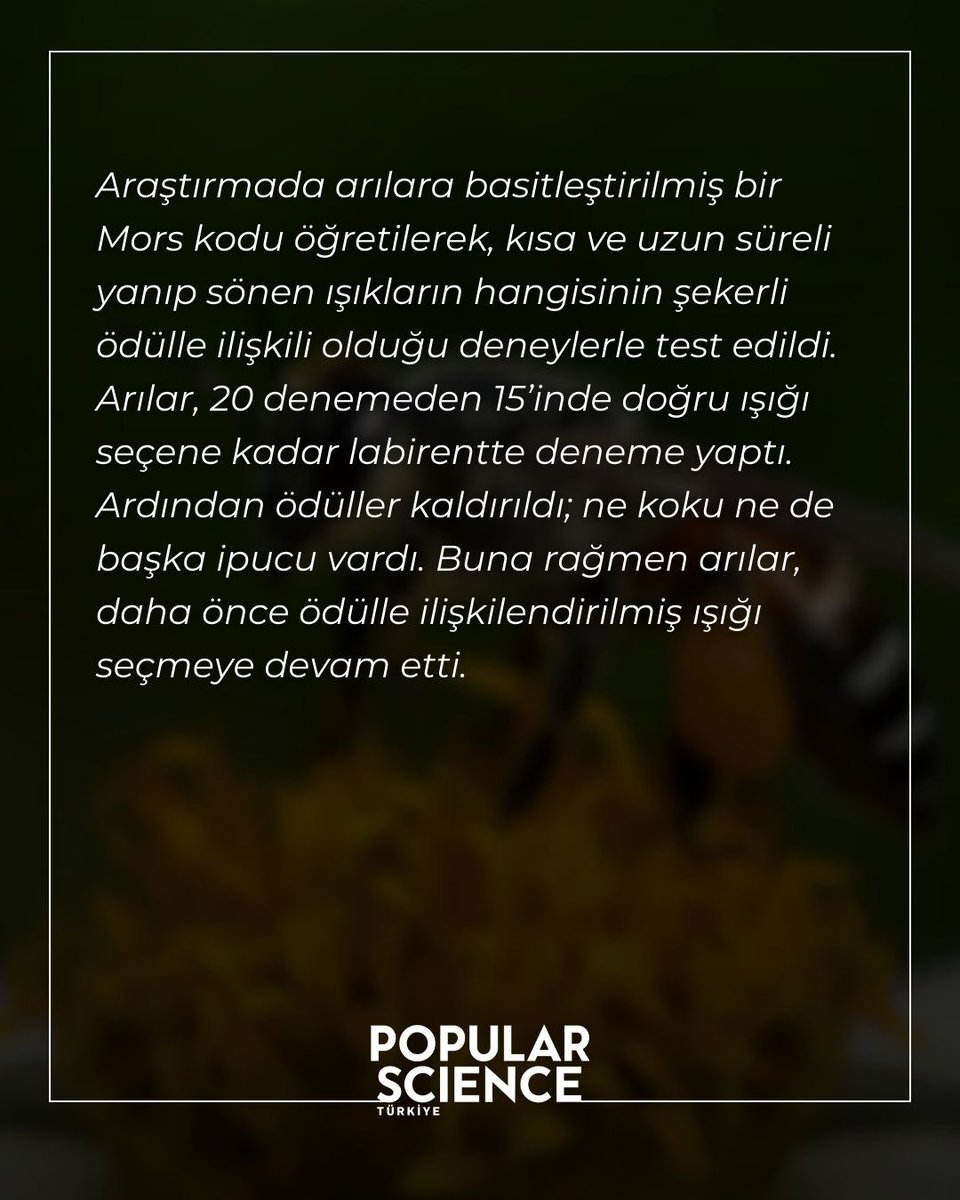 Popular Science TR tweet media