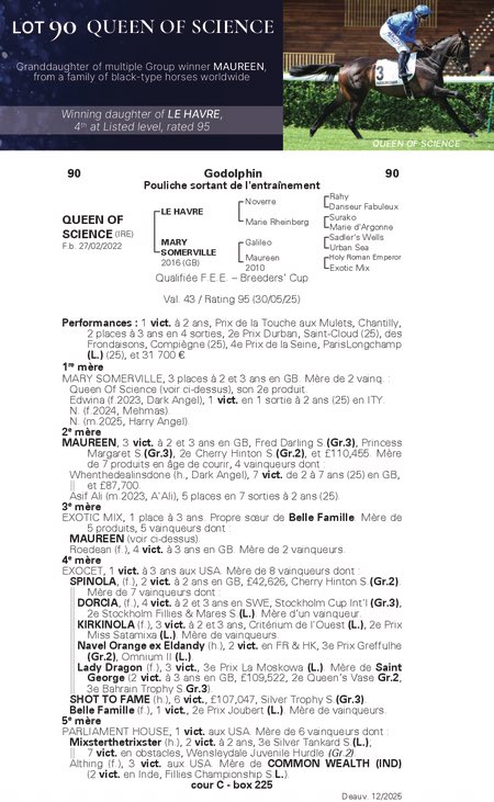 AsoTurfGalop's tweet image. 📓 Lote 90
📝 QUEEN OF SCIENCE (IRE)

♀ Hembra 2022
🔗 Le Havre x Mary Somerville (Galileo)

⏪ Vendedor: @godolphin 
⏩ Comprador: @StaminaTurf - Yeguada Rocío

💰 Precio: 60.000 €
🏠 Subasta: Vente d’Elevage 2025 @InfoArqana 

#AsoSales
