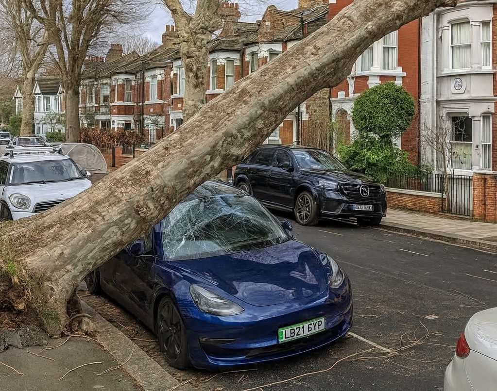Imagine you buy an electric car to save the planet, and a tree kills it 😭