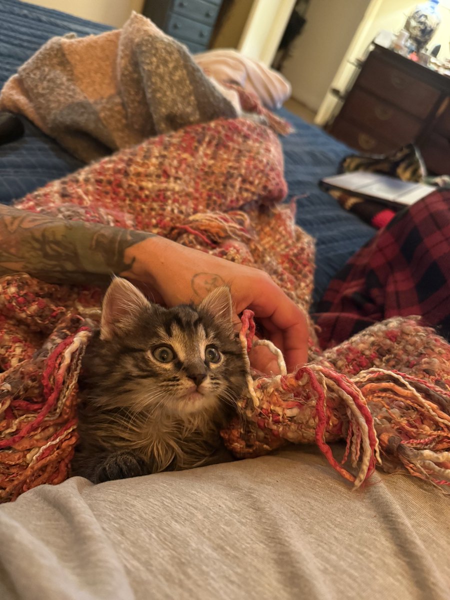 Jon Lion Fine Art 🌈🦋 tweet media