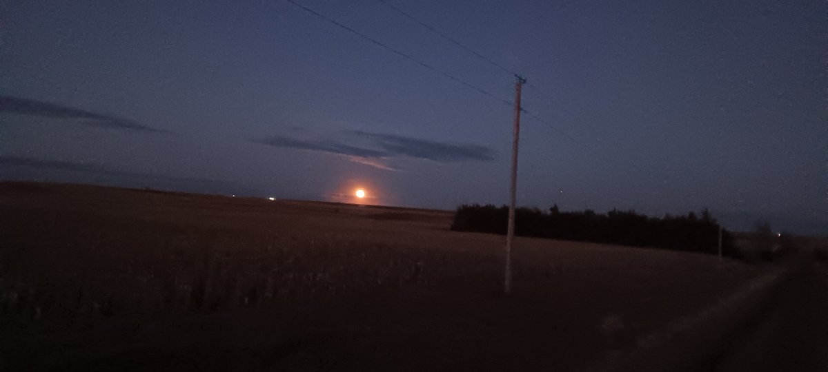 Last nights full moon.