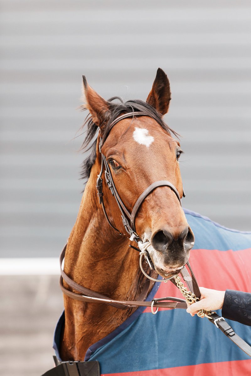 ゴディアーモ Godiamo：イタリア語で「楽しもう。」