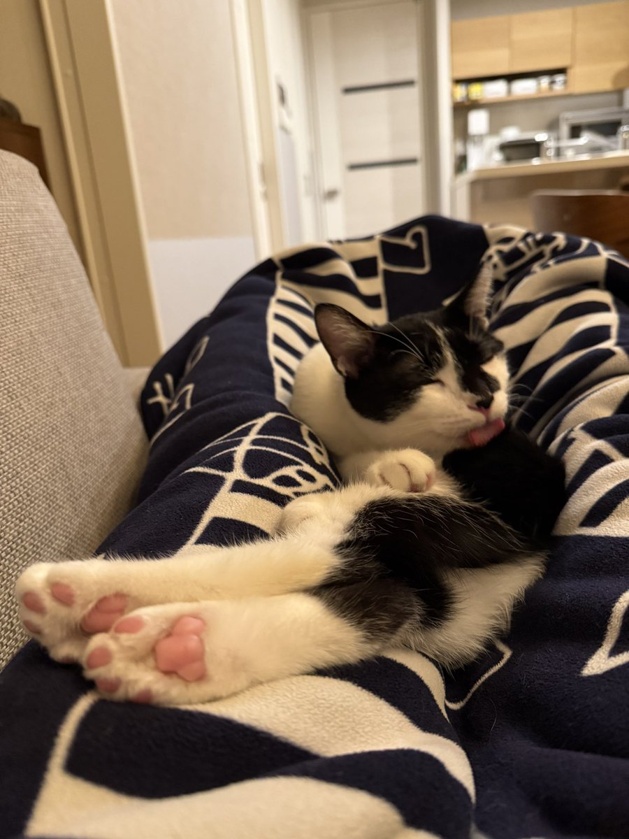 今日もプリティーガールだね