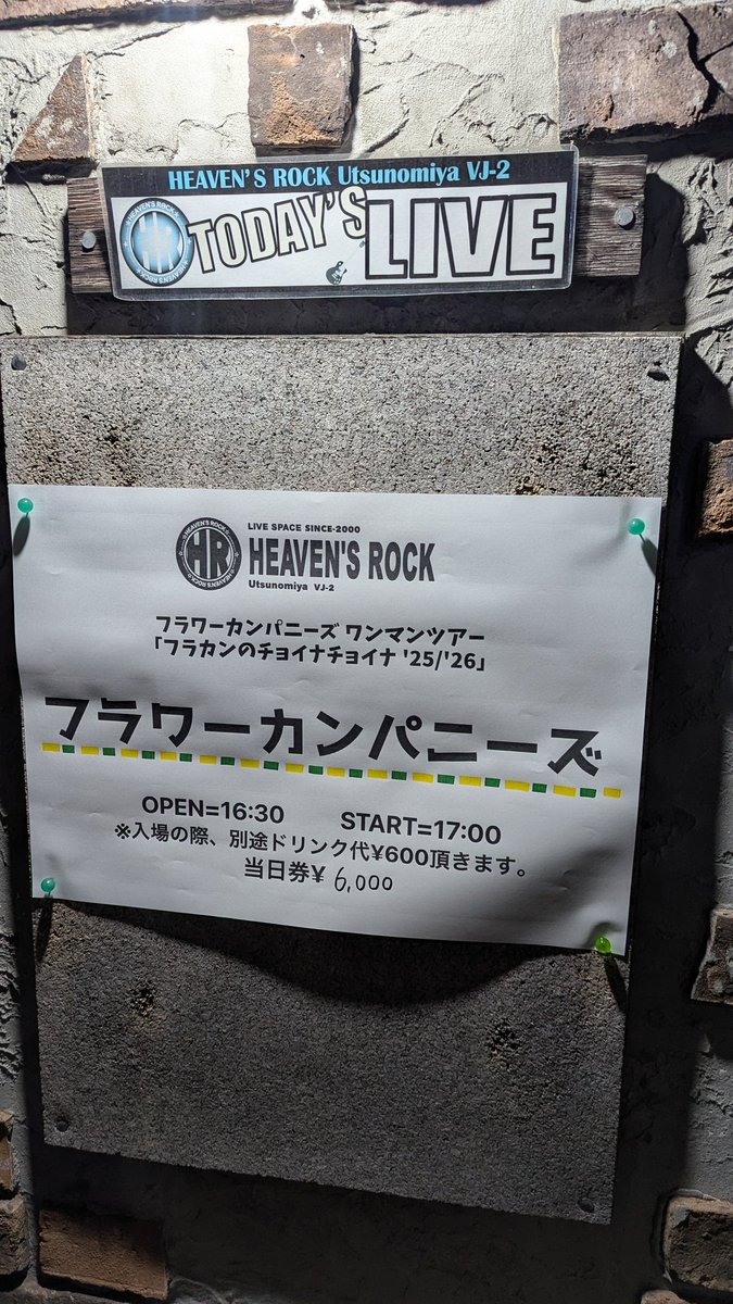 ﾌﾗﾜｰｶﾝﾊﾟﾆｰｽﾞ