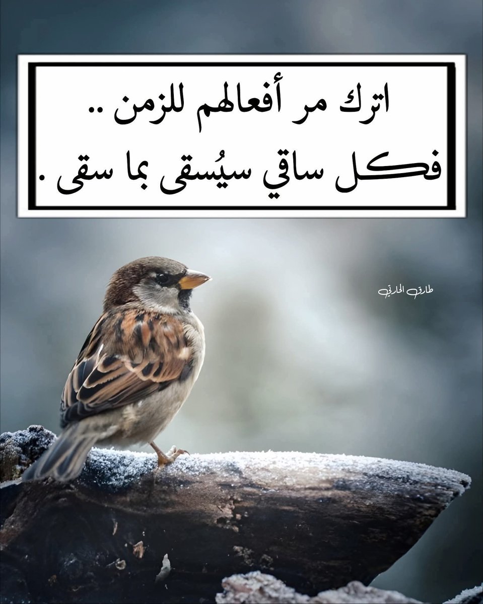 Stantani Abdessadeq. casa (@stantanissadeq) on Twitter photo 