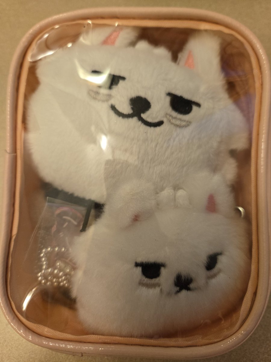 ねここちゃん tweet media