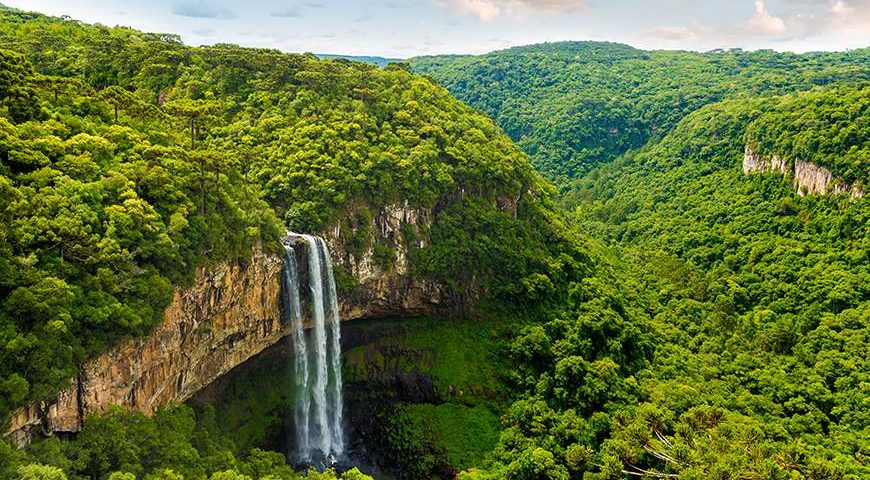 treemissions's tweet photo. ๐ Trees are solar-powered O2 factories! ๐ณ One big tree soaks up sunlight & churns out enough oxygen for 4 people to breathe easy. Plant a tree, power the planet, & keep us all thriving! ๐๐ฒ #TreeMagic #OxygenHeroes https://t.co/bpNIedIl15