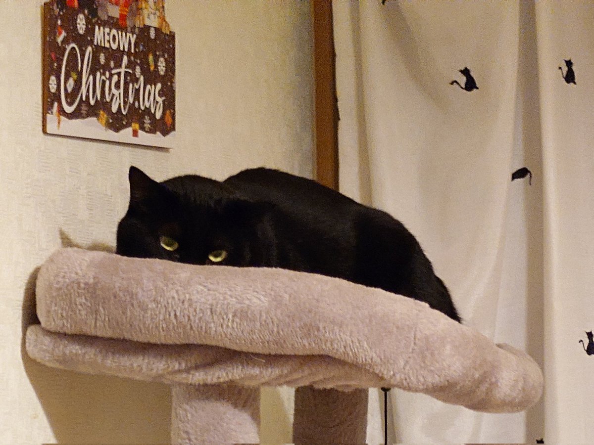 2222🐈‍⬛💕
