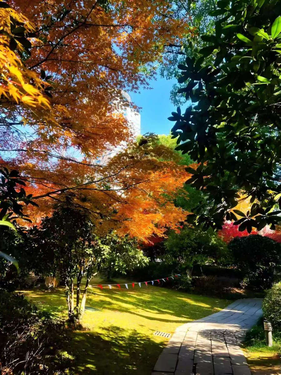 ZSuppose33635's tweet photo. 瑞金宾馆下集 https://t.co/GPCrRwb1tx