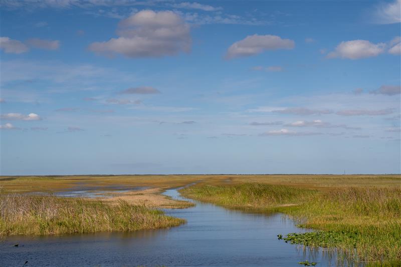 South Florida Water Management District tweet media