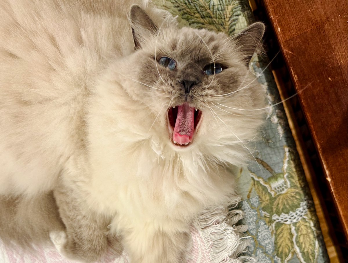 Nancy Stone tweet media