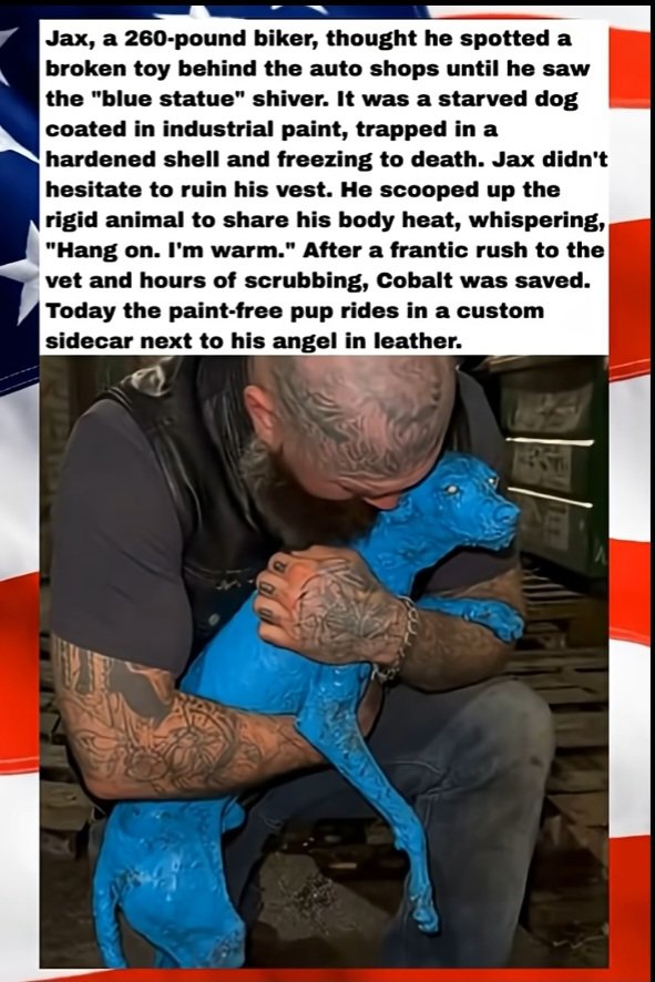 CCAngelKing's tweet image. #Merica