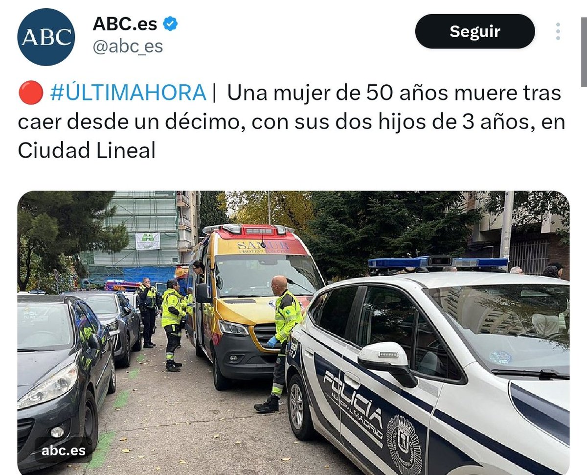 Que se ha tirado desde un décimo piso con sus dos hijos, para suicidarse ella y matarlos a ellos. Siempre romantizando los casos en los que es la madre la que asesina o intenta asesinar a sus hijos. Los niños, aunque graves, están vivos.. ojalá salgan adelante.