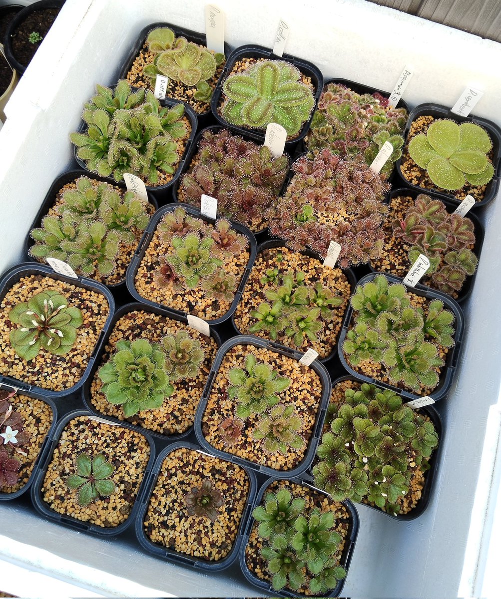 鍵の君 (@kaginokimi0077) / Posts / X