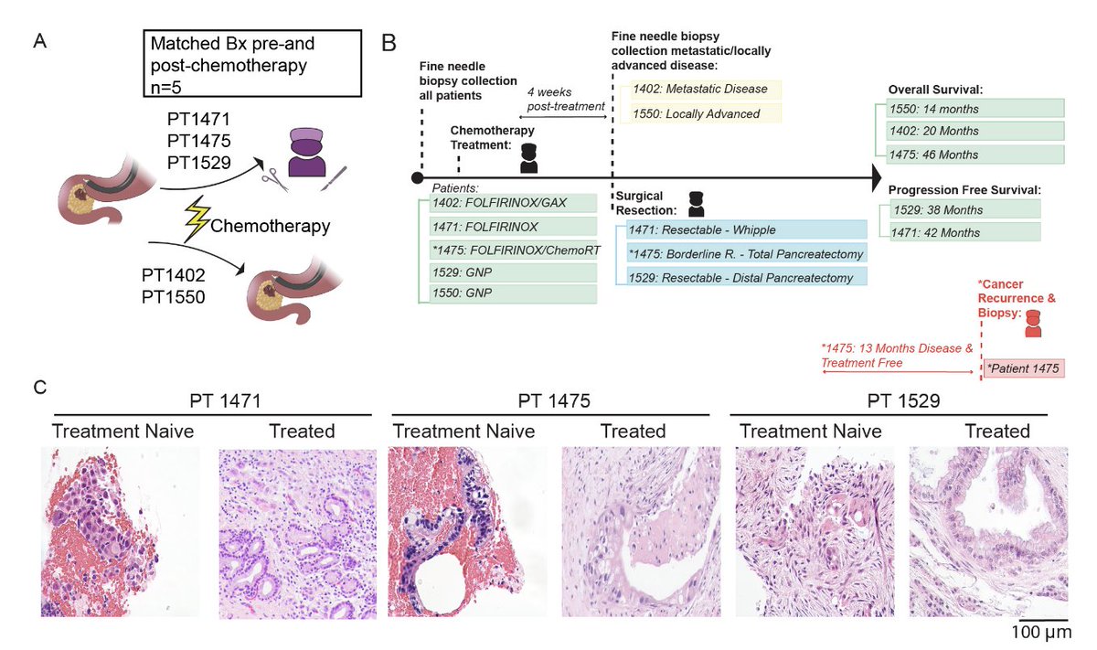 Anirban Maitra tweet media