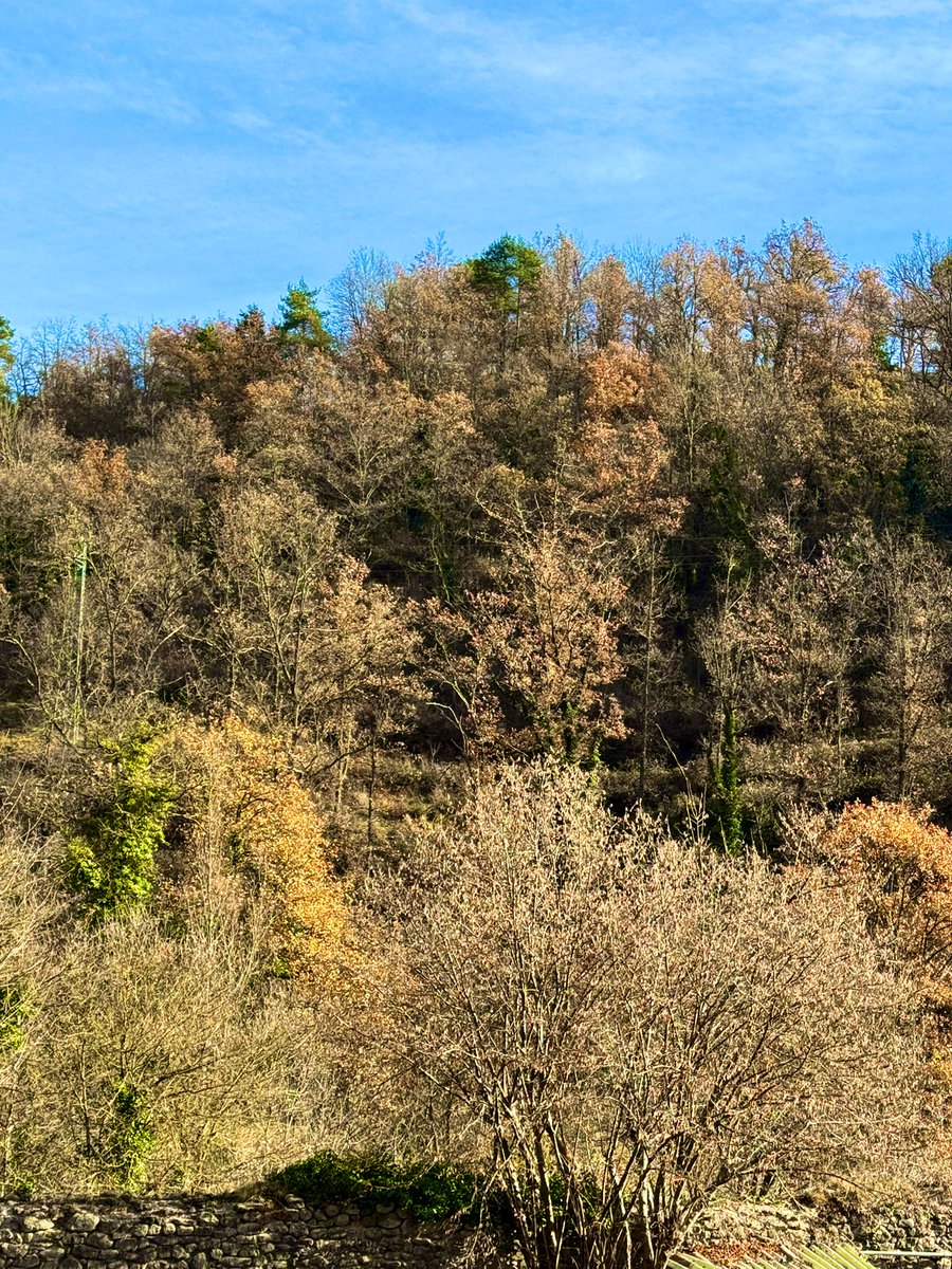 sofialopppez's tweet image. Sant Joan de les Abadeses 💝✨