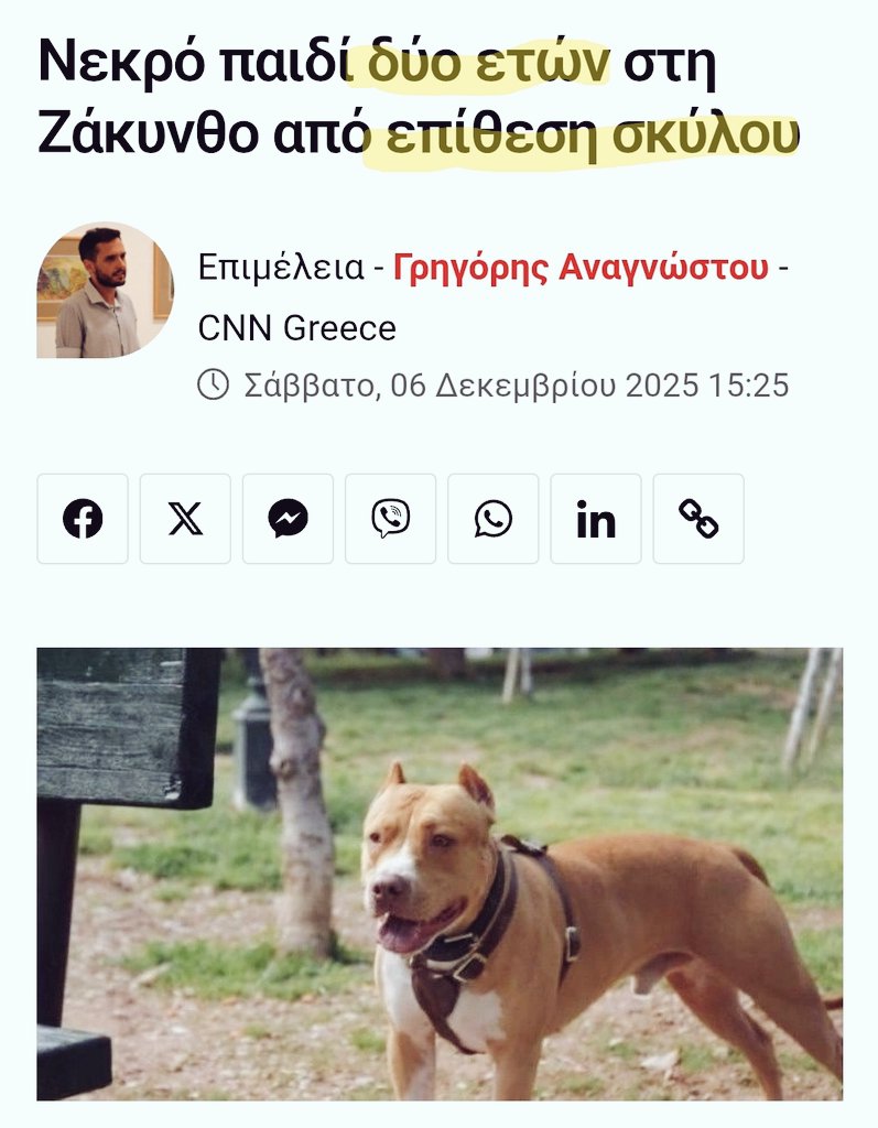 dogattacksGR's tweet image. 2χρονο (ΔΙΧΡΟΝΟ‼️) παιδακι το δαγκωσε στο λαιμο &amp;amp; το ΣΚΟΤΩΣΕ ενα τυρρανοσαυρικου μεγεθους Πιτ Μπουλ στην Ζακυνθο.Τα Πιτ Μπουλ ειναι υπευθυνα για το 70% των θανατων απο επιθεσεις σκυλων ΠΑΓΚΟΣΜΙΩΣ, &amp;amp; εχουν απαγορευτει σε πολλες χωρες.
ΑΠΑΓΟΡΕΥΣΗ ΤΩΡΑ!
⬇️
cnn.gr/ellada/story/5…
⬆️
