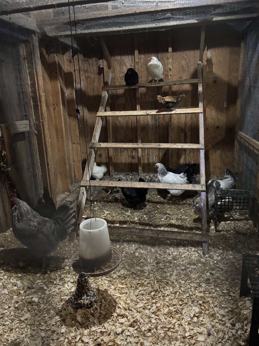 Beekeeping in Maine 🐝 🍯 🐝 tweet media