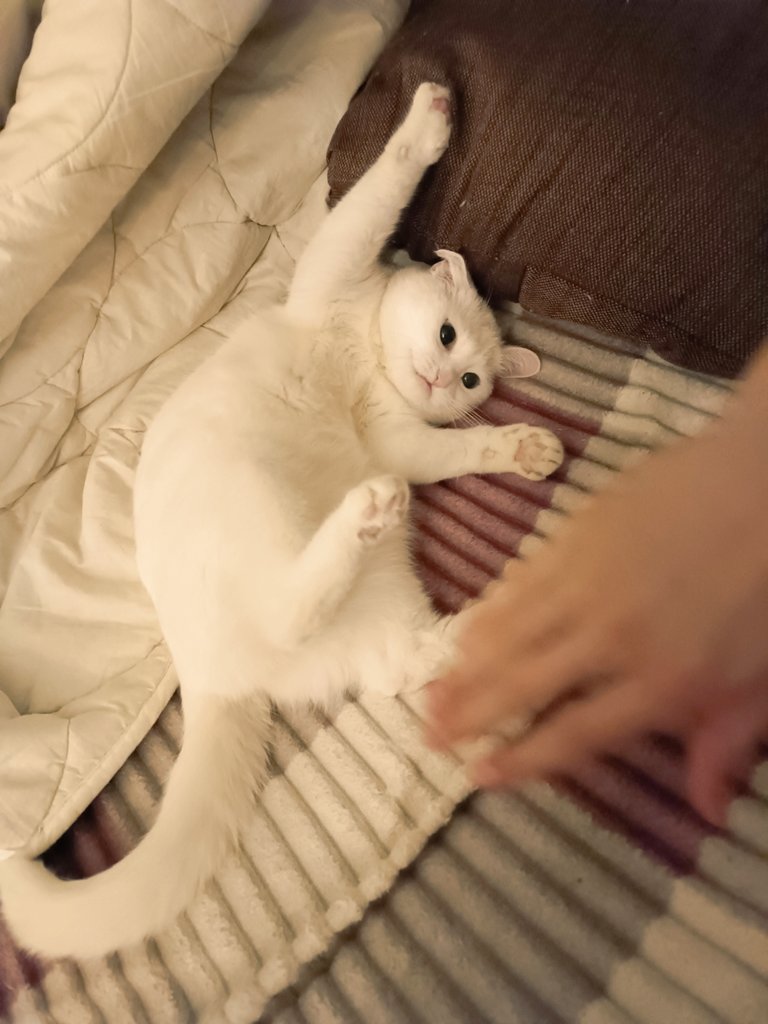 бесячее настроение #Манка