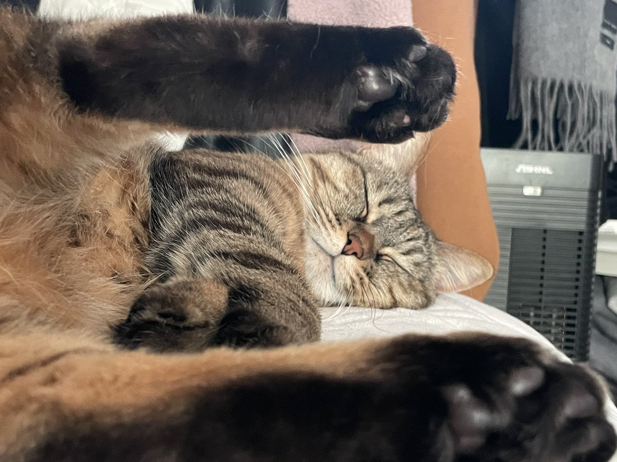 이 레시피 거짓입니다
올려놨더니 바닥 다 탔습니다
진짜 넘하시네요