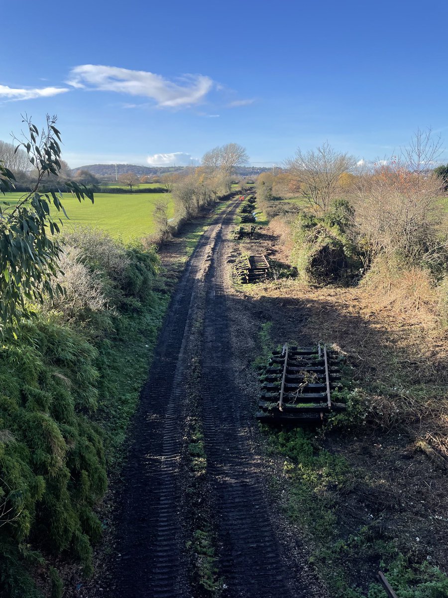 Nick the Pirate tweet media