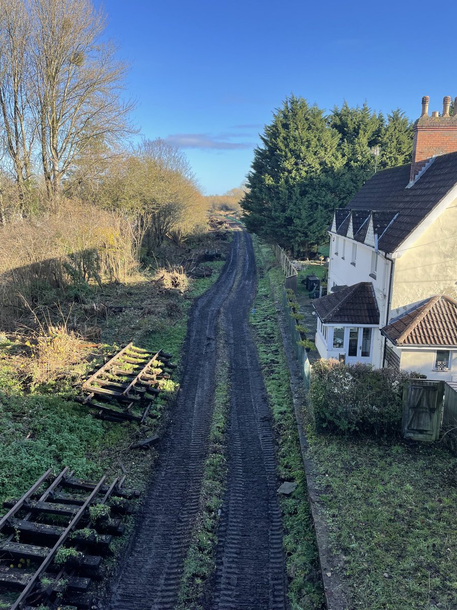 Nick the Pirate tweet media