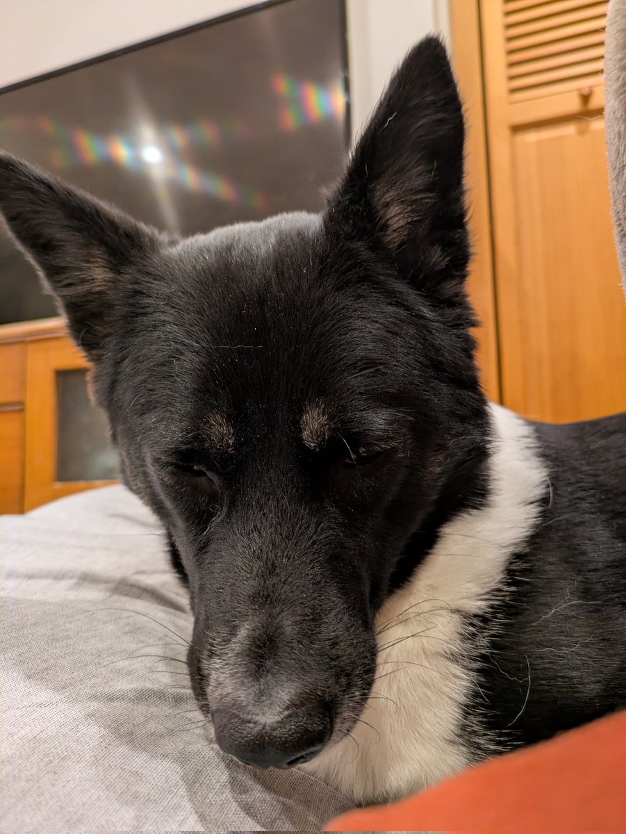 よものんあん母 (@chobikuro311) / Posts / X