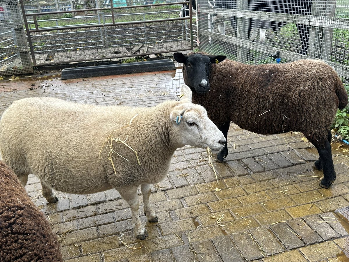 Bishop of Southwark tweet media