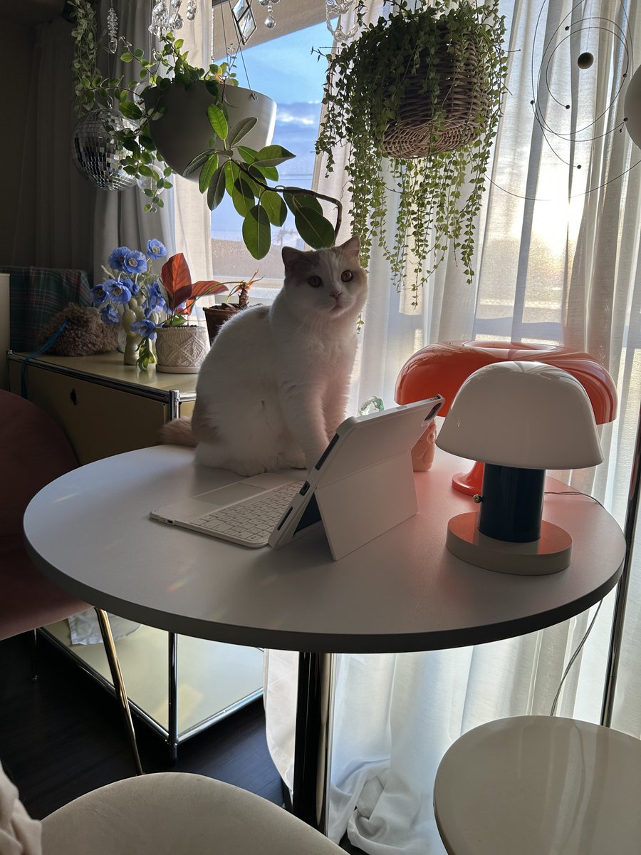 mume (@mmmmiammumemi) / Posts / X