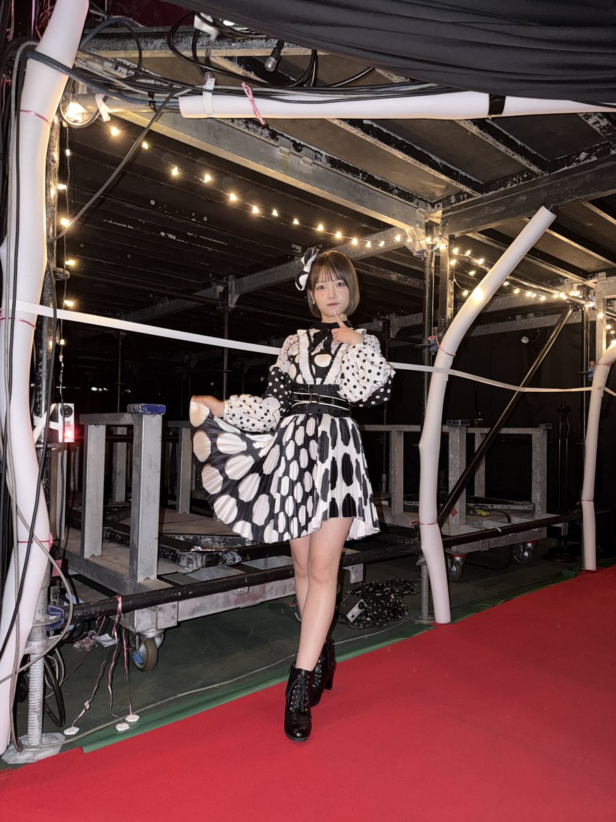 AKBは青春ですin武道館 20周年記念コンサートPart2でした🌷 先輩方と