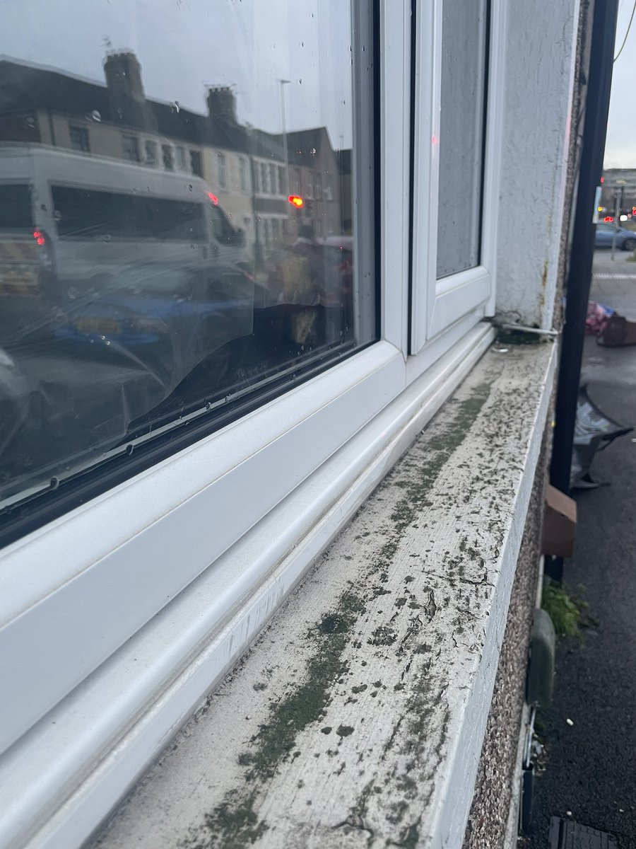 Darren McLean tweet media