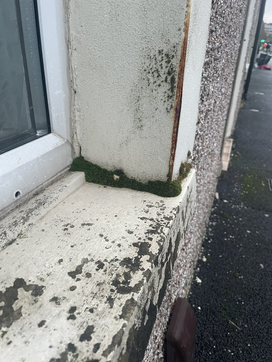 Darren McLean tweet media