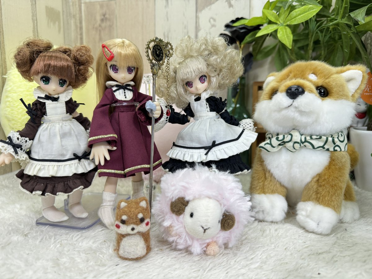 くまきち (@bearbeartyan) / Posts / X