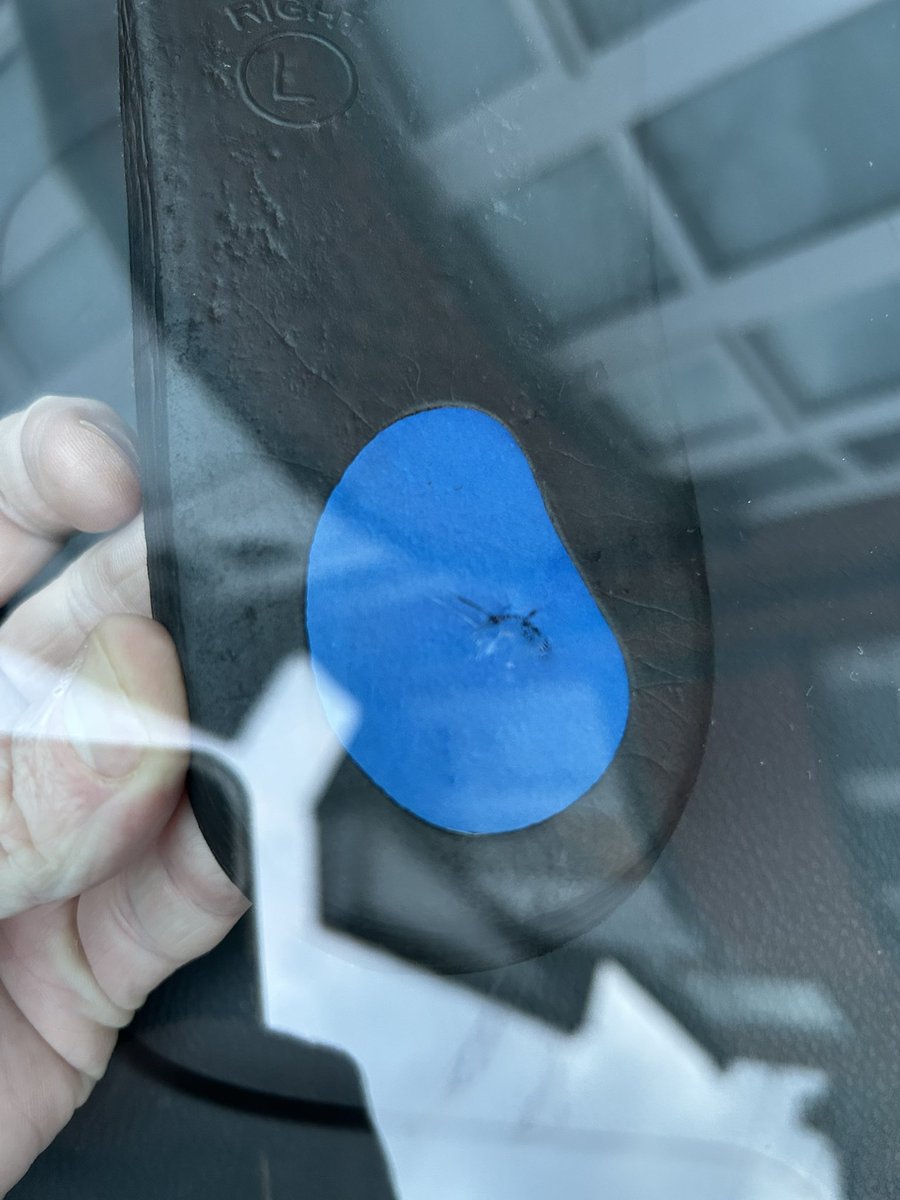 JMORAN_10's tweet photo. @Halfords_uk Don’t get a chip fixed by @Halfords_uk  - this is the result and zero contact by the company despite a complaint a week ago. Dreadful. https://t.co/IjzCASQUgT