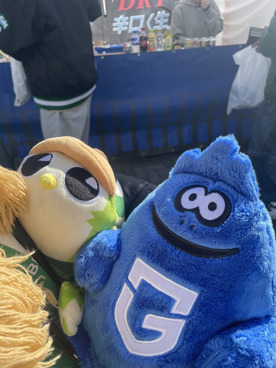 G大阪アウェイお疲れ様でした‼︎👏🏻✨
無事残留を決められたシーズンでしたが
結局順位は喜べる物ではないのも事実🙌🏻

オフシーズンでしっかり気持ち作り直してまた2月全緑で応援できるの楽しみにしてます🥰💚