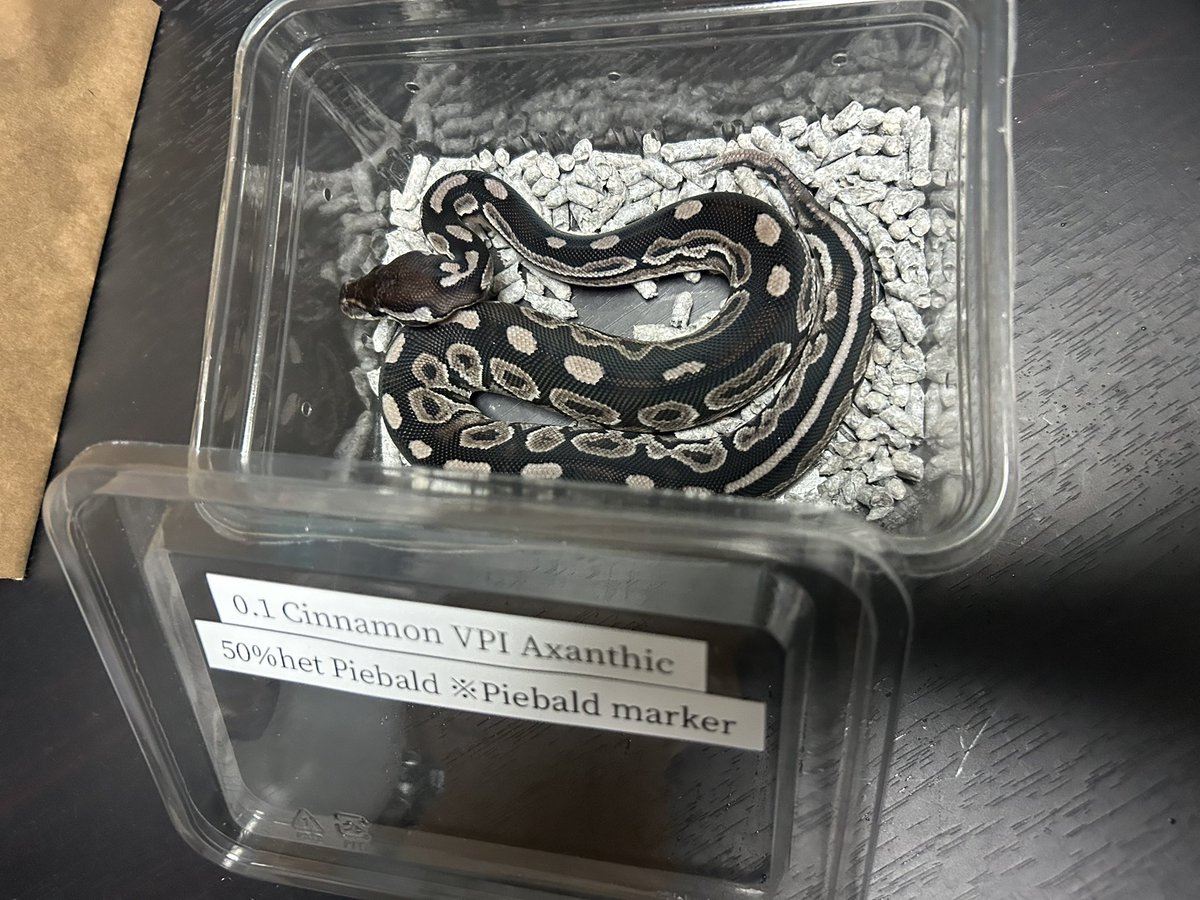 あまさぶ tweet media