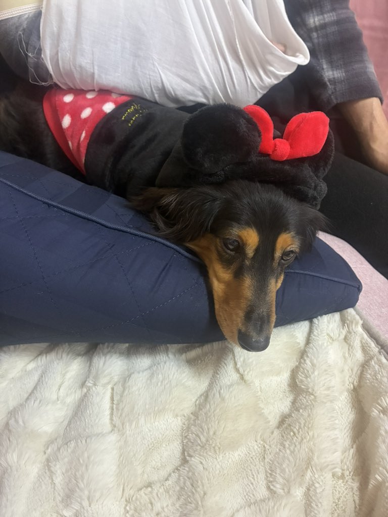 🌙G☆SPOT P⭐ (@g_spotp) / Posts / X