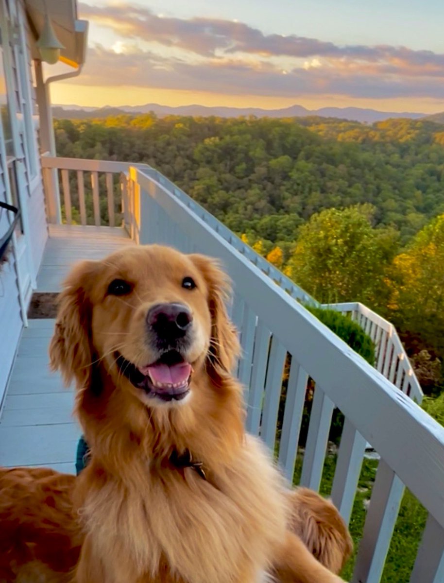 Beth Ann Nichols tweet media