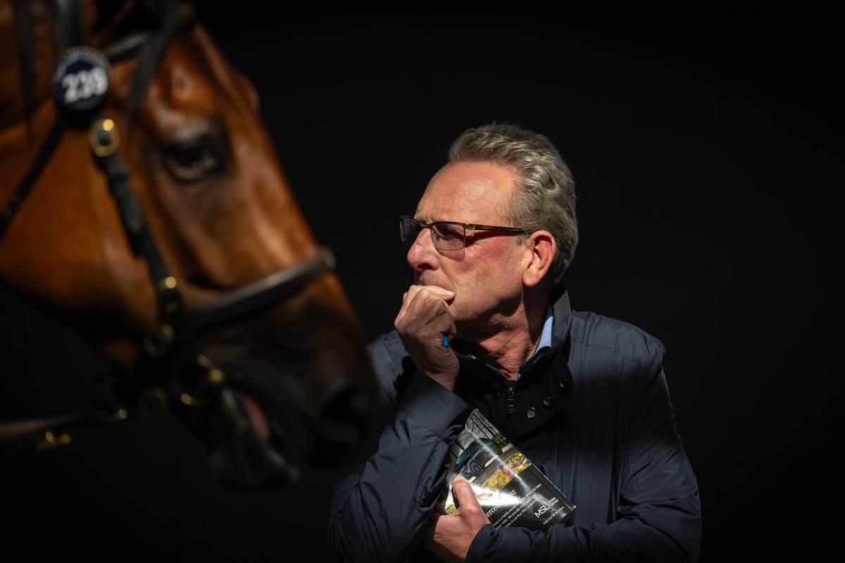Tattersalls Ireland tweet media