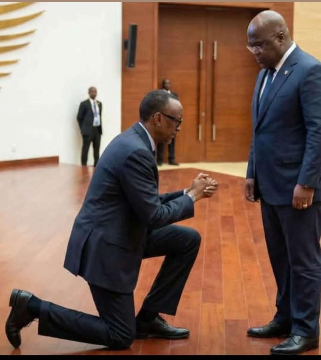 BENITA TSHISEKEDI ÉTAT DE DROIT ❤️💛💙 tweet media