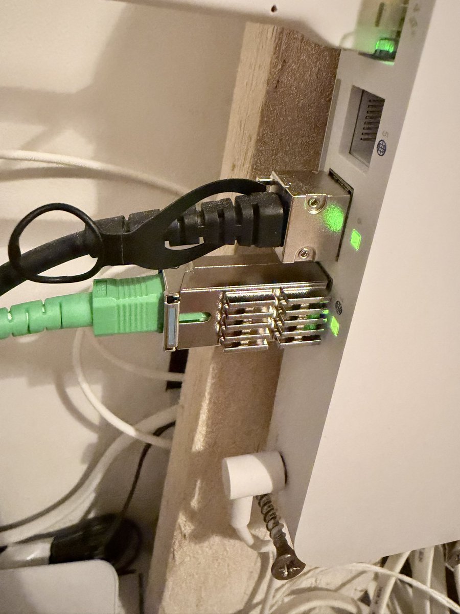 Damien® tweet media