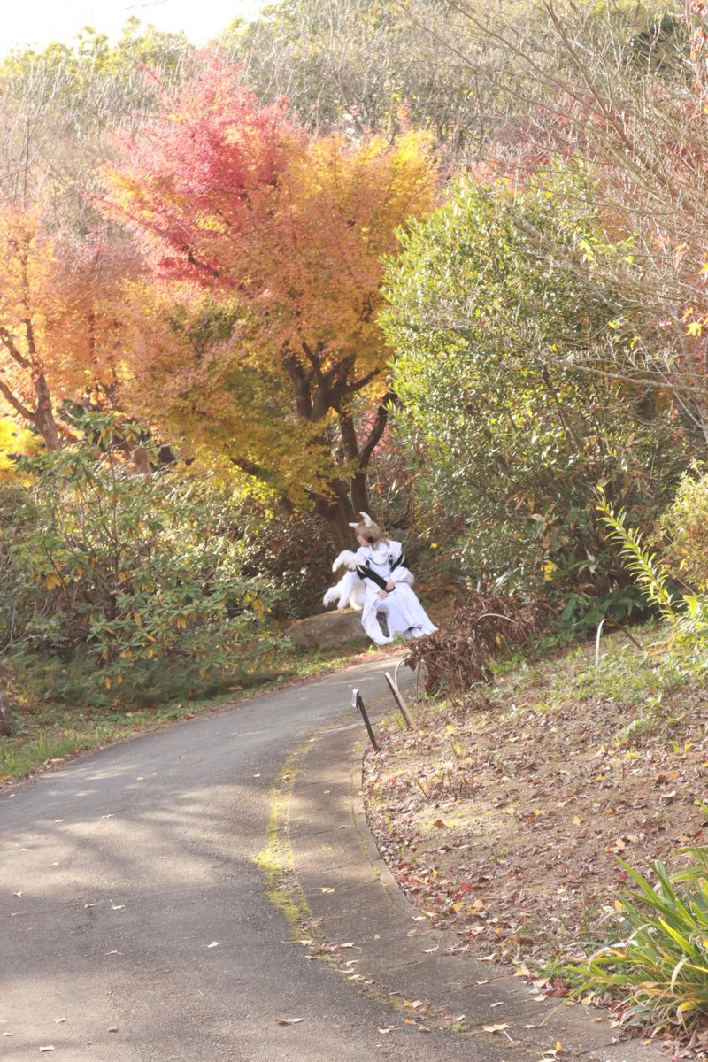 🌈　　　🕒
🔫
妖　　　怪　　　万　　　化

📷　<a href="/kyasi1119/">きゃしー</a>