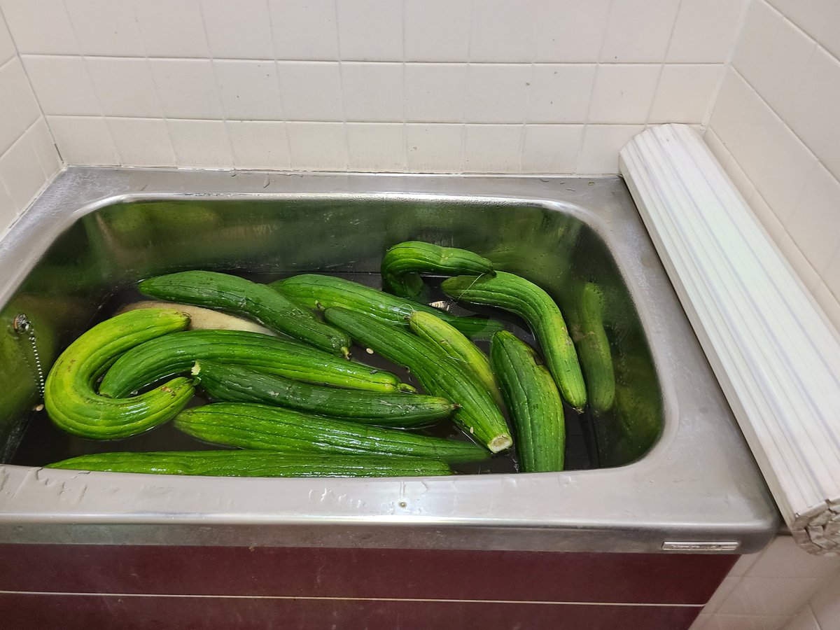 朝ノラ (@zxz0990) / Posts / X