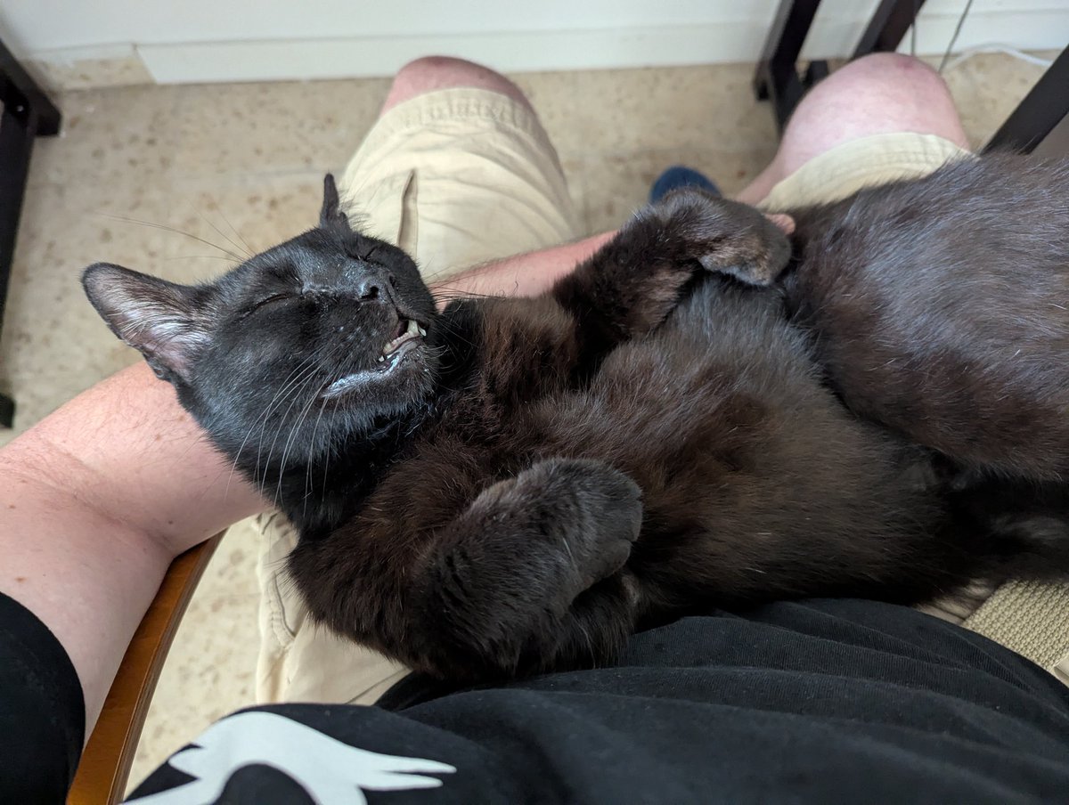 תמונה מאפריל שממש כיף להיזכר בה

#פידחתולים #להחמיד_את_הפיד